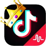 Logo of TikTok Views Followers, Likes For Free android Application 